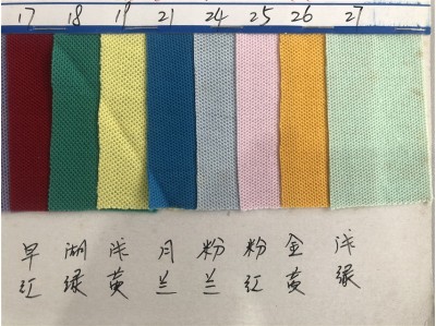 DG-TL 00448# 21支 T/C 雙珠地 35%棉 240g 後面照
